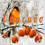 Романтичная зимняя открытка с птичкой Спасибо