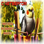 С четвергом! Чистоты не бывает много