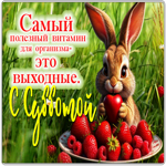 Самый полезный витамин для организма - это выходные. С субботой