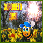 Счастливая весенняя гиф-открытка с пчелкой Хорошего дня