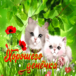 Картинка шикарная открытка хорошего денечка с кошками