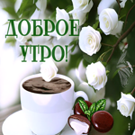 Симпатичная и милая открытка с белыми розами Доброе утро!