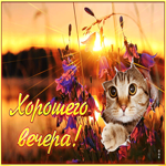 Симпатичная открытка с котиком и цветами Хорошего вечера!