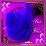 Синяя роза для тебя