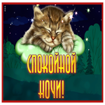 Postcard сказочная и фантастическая открытка с котиком спокойной ночи