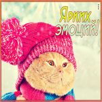 Сказочная и уютная гиф-открытка с котиком Ярких эмоций