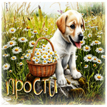 Сказочная летняя гиф-открытка Прости