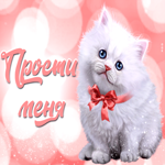 Славная открытка с белым котенком Прости меня