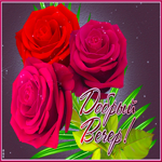 Славная открытка с тремя розами Добрый вечер