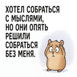 Смешная картинка с лёгкой ноткой юмора