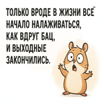 Смешная картинка с позитивом