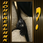 Смешная открытка с черным котиком Понедельник?