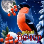 Снежная чарующая гифка Добрый вечер