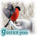 Снежная добрая гифка Добрый день