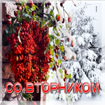 Снежная мечтательная гифка С о вторником