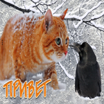 Picture снежная открытка с котом и птичкой привет