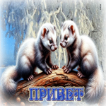 Снежная стильная гифка Привет