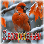 Снежная умиротворяющая гифка С воскресеньем