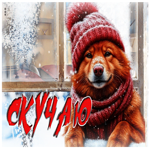 Снежная волшебная гифка Скучаю