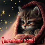 Сногсшибательная открытка с котиком Спокойной ночи