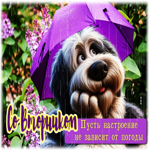 Со вторником! Пусть настроение не зависит от погоды