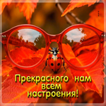 Солнечная осенняя гифка Прекрасного нам всем настроения!