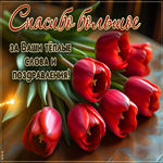 Спасибо большое за ваши теплые слова и поздравления