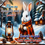 Спасибо за уют этих зимних вечеров