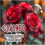 Спасибо за ваши добрые пожелания