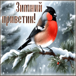 Postcard спокойная и умиротворяющая открытка с птичкой зимний приветик