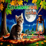 Спокойной ночи! Отдыхай и набирайся сил