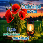 Спокойной ночи! Пусть отдых будет спокойным