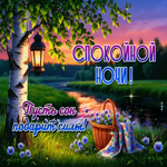 Спокойной ночи! Пусть сон подарит силы