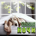 Postcard стильная открытка спокойной ночи! с собакой в кровати