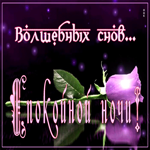 Picture стильная открытка волшебных снов! спокойной ночи! с розой