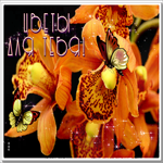 Супер открытка с бабочками Цветы для тебя