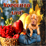 Postcard супер открытка с фруктами и щенком хорошего дня!