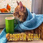 Супер открытка с котиком в шарфе Добрый день!