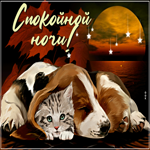 Супер открытка с собачкой и котом Спокойной ночи