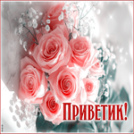 Светлая и уютная гиф-открытка с нежными розами Приветик