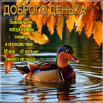 Талантливая осенняя гифка Добрый день