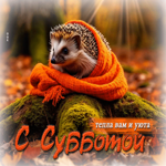 Талантливая осенняя гифка С субботой, тепла вам и уюта