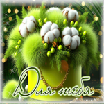 Тихая, тёплая гифка Для тебя