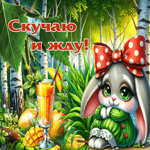 Трогательная летняя гиф-открытка Скучаю и жду