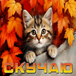 Тёплая и добрая осенняя гифка Скучаю