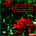 У меня всегда друзья вокруг