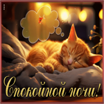 Удивительная и стильная гиф-открытка с котиком Спокойной ночи