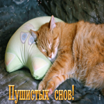 Удивительная открытка с рыжим котом на подушке Пушистых снов