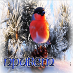 Удивительная снежная гиф-открытка Привет