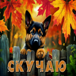 Улыбчивая и солнечная осенняя гифка Скучаю